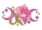 transparent_rose